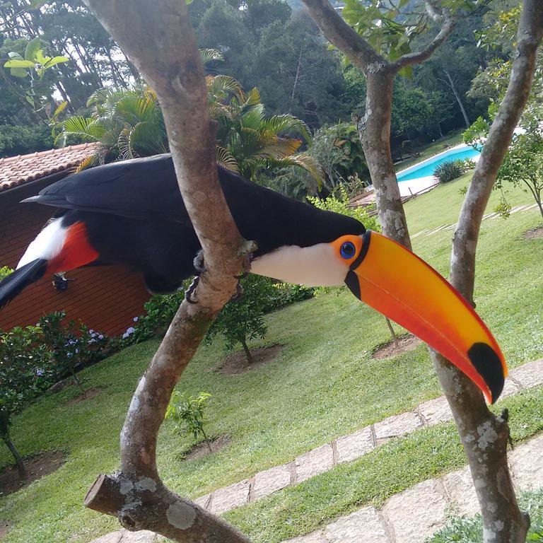 Pousada Tucano Do Cuiaba Itaipava Eksteriør bilde