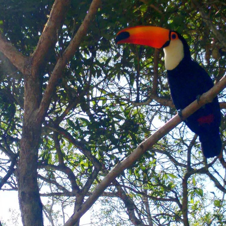 Pousada Tucano Do Cuiaba Itaipava Eksteriør bilde